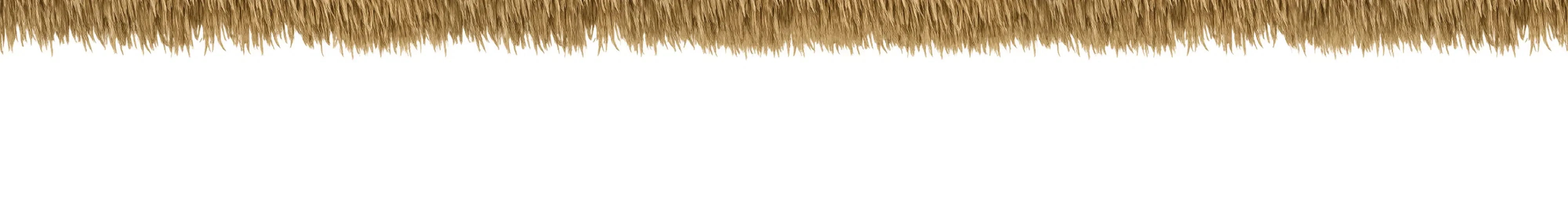 Shop Tikis